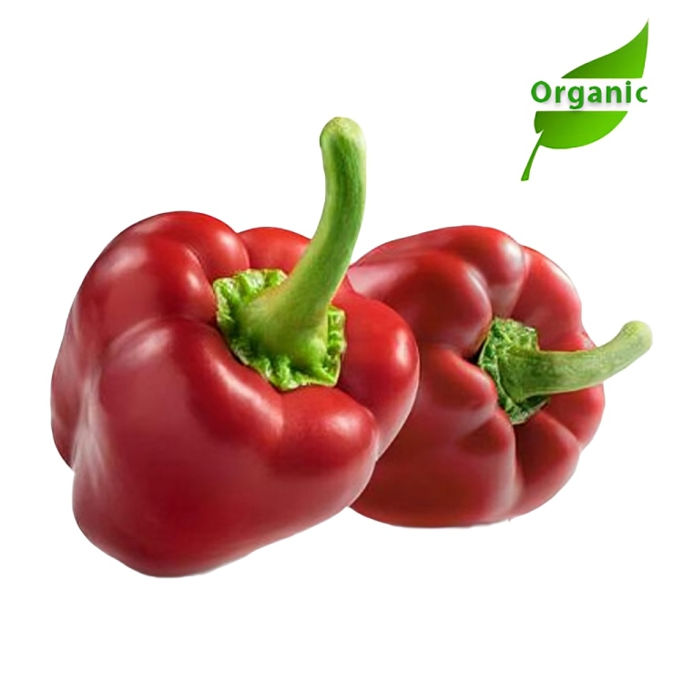 Organic Capsicum Red