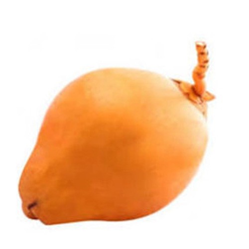 Fresh Young Coconut Srilanka