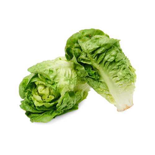 Lettuce Baby Gem