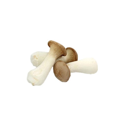 King Oyster Mushroom(Eyringi)