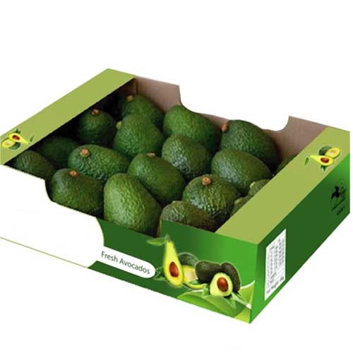 Avocado Hass box