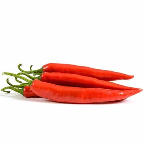 Long Red Chillies Spain