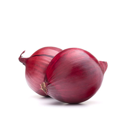 Onion Red USA