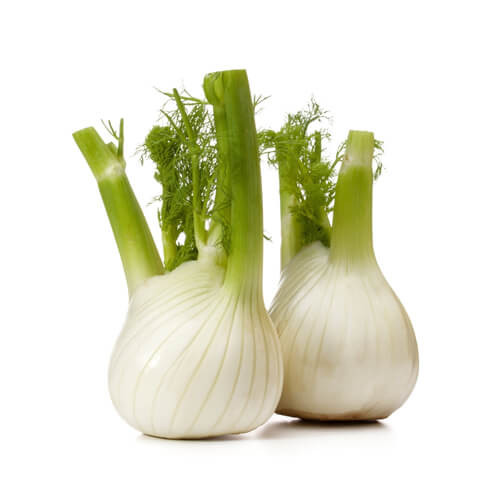 Fennel