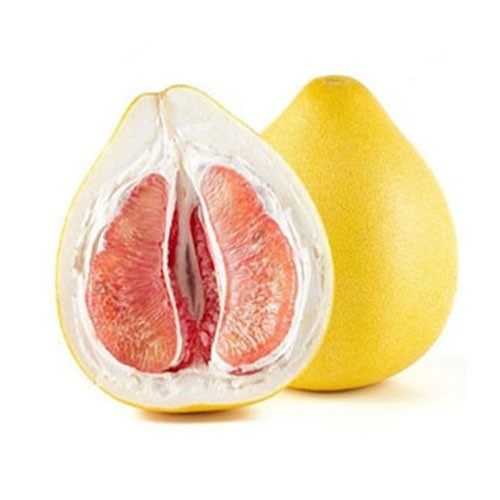 Red Pomelo
