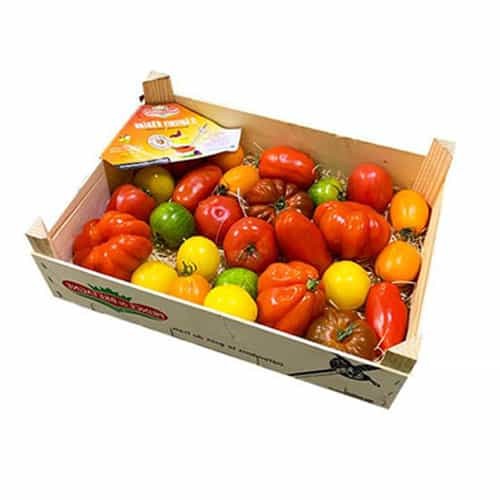 Tomato Heirloom Mixed