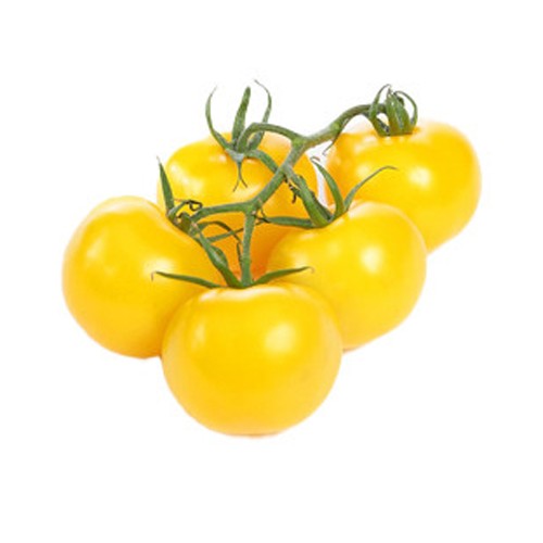 Tomato Yellow Bunch