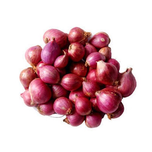 Onion Shallot India