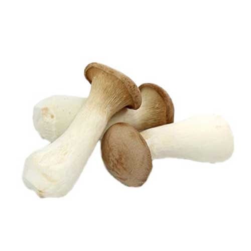 King Oyster Mushroom(Eyringi)
