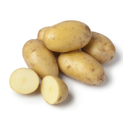 Potato Idaho/Russet