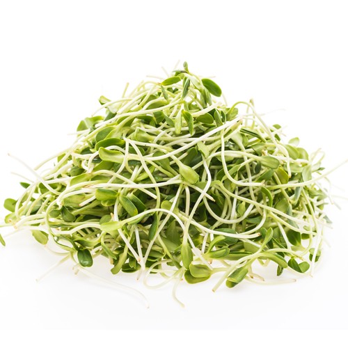 Sprouts & Cress