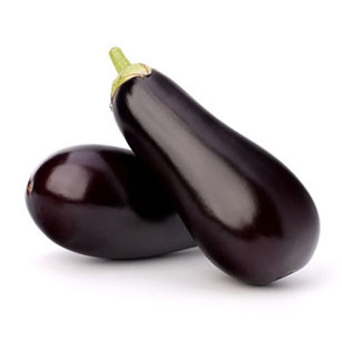 Eggplants Holland