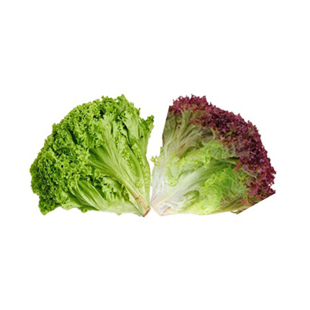 Lettuce Lollo Mix