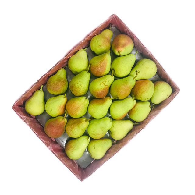 Rosemarie Pears
