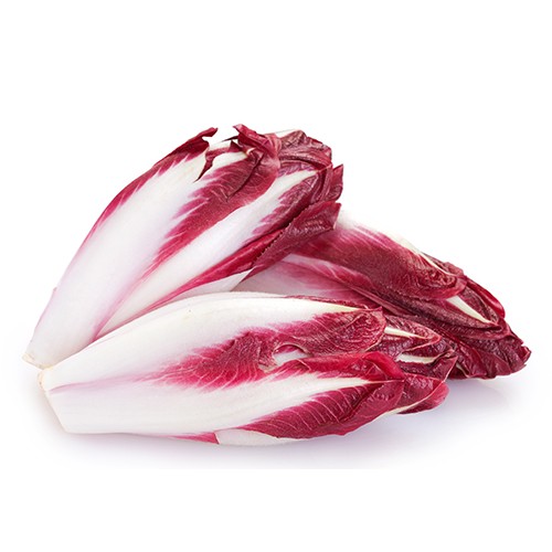 Endives Red Chicory
