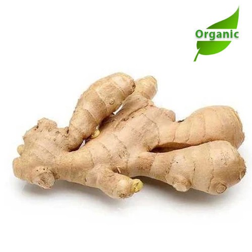 Organic Ginger India