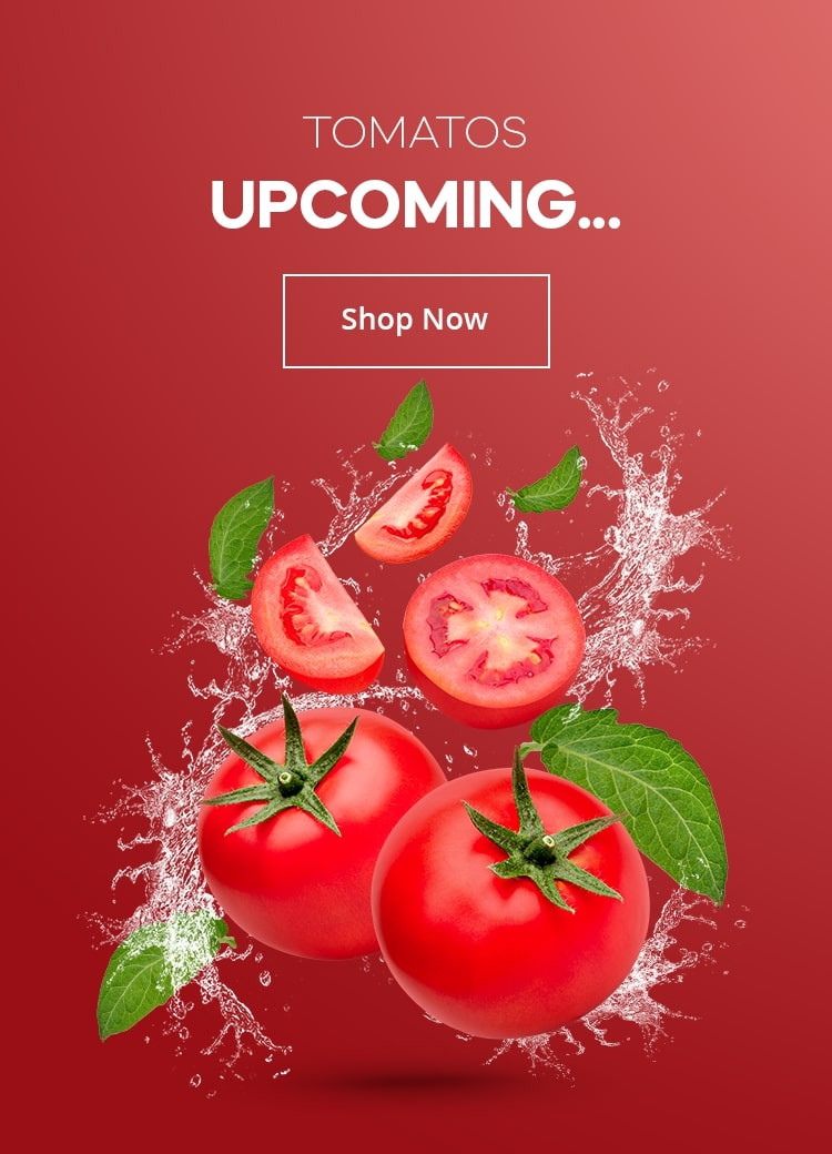 Alnamoos Fresh promo