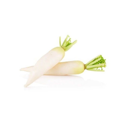 White Radish china (Daikon)
