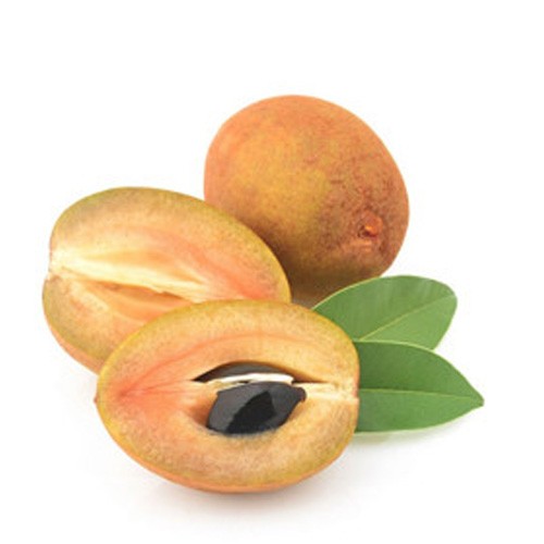 Chikoo Fruit