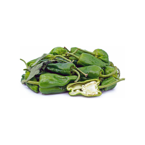 Chilli Padron Pepper