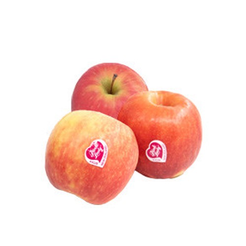 Apple Pink Lady