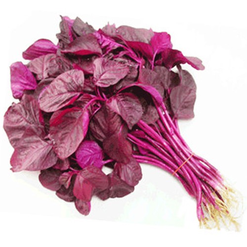 Red Spinach (Cheera)Leaves