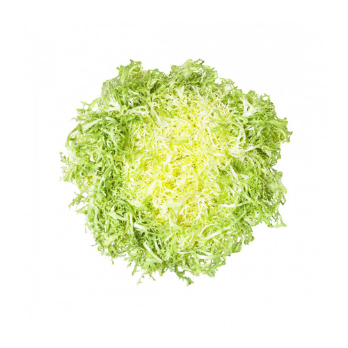 Lettuce Frisee Yellow