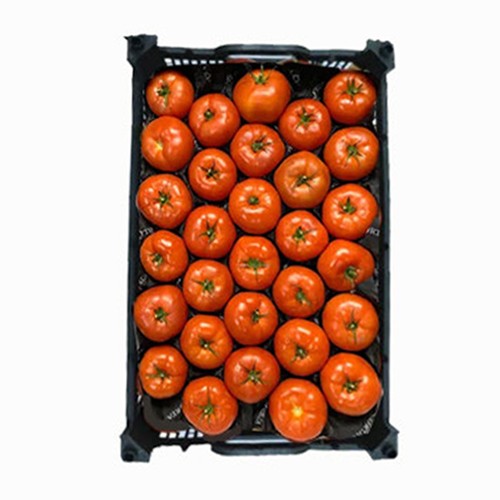 Tomato Box