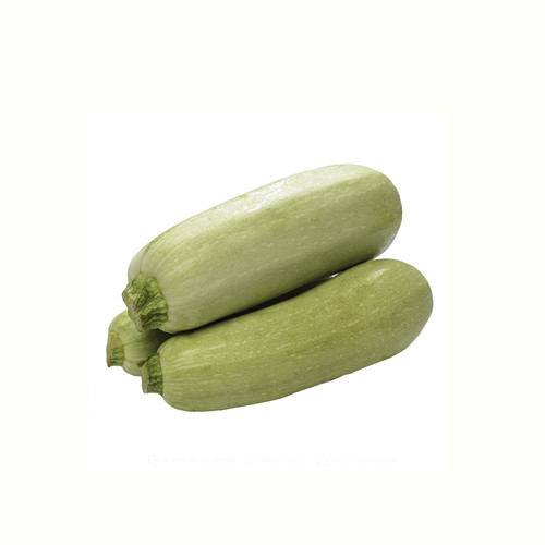 Zucchini Green