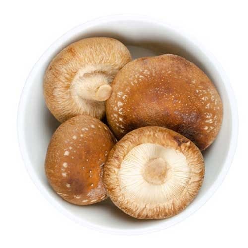 Mushroom Shitake
