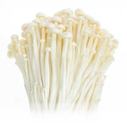 Enoki Mushroom