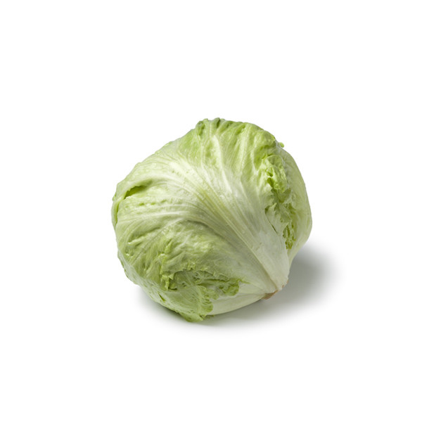 Lettuce Iceberg