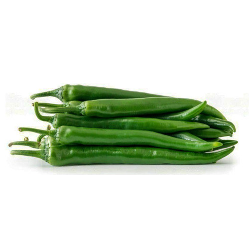 Green Chilli Long holland
