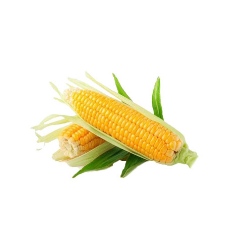 Sweet Corn