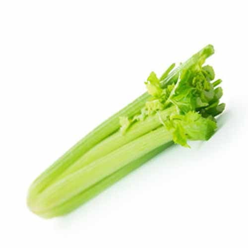 Celery