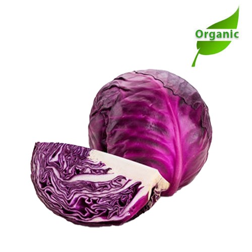 Organic Cabbage Red