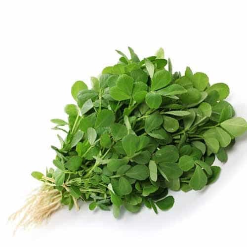 Methi (Fenugreek)Leaves