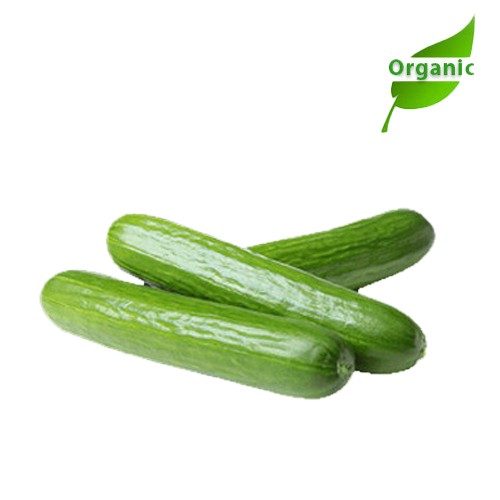 Organic Cucumber