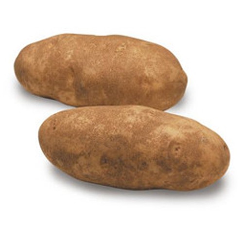Potato Idaho/Russet
