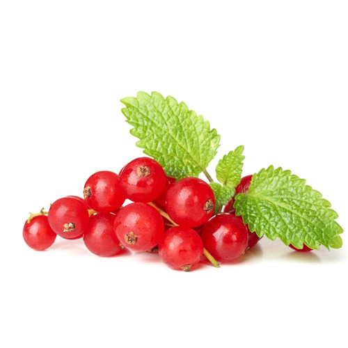 Red Currant