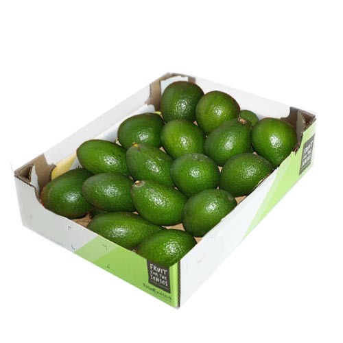 Avocado Fuerte Box