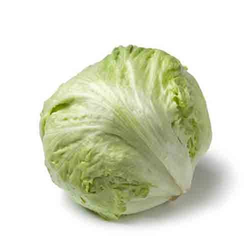 Lettuce Iceberg