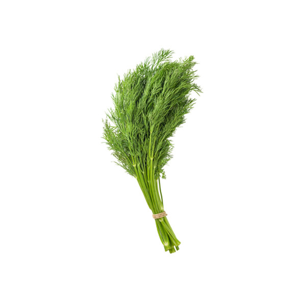 Dill Leaves