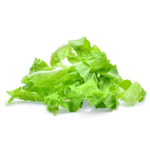Romaine Lettuce Shredded
