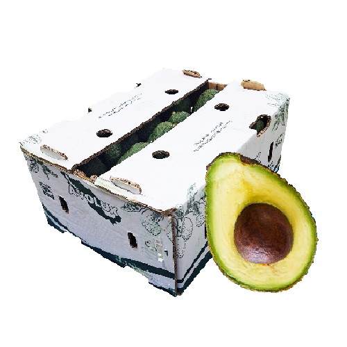 Avocado Hass 10Kg Box