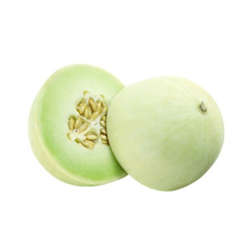 Honey Dew Melon