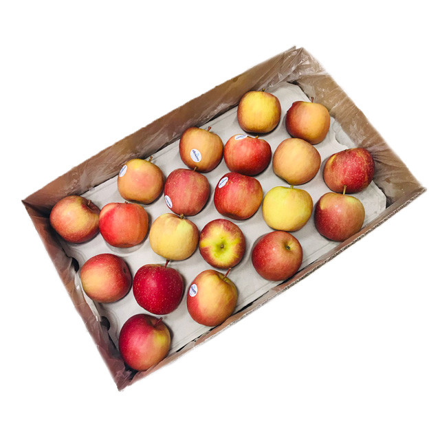 Fuji Apples